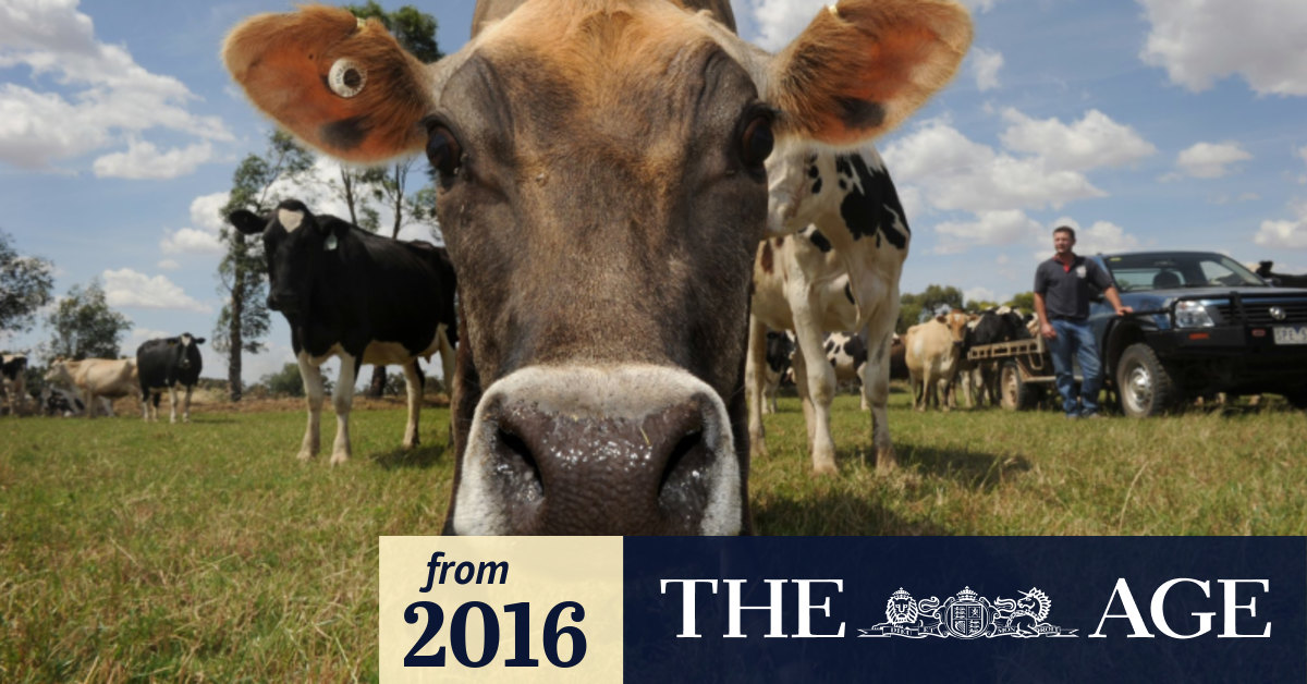 Milk payments: $11.4 million package to ease pressure on struggling dairy farms
